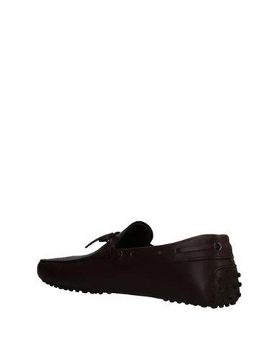 Tod's Loafers In Brown