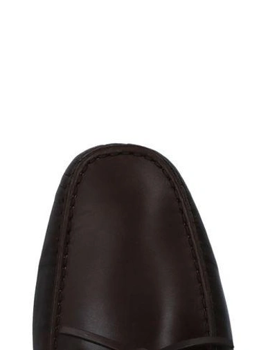 Tod's Loafers In Brown