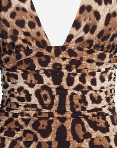 Shop Dolce & Gabbana One-piece Swimsuit With Leo Print In Leopard Print