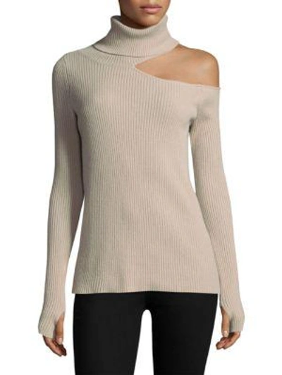 Roi Ribbed Cashmere Sweater In Mushroom
