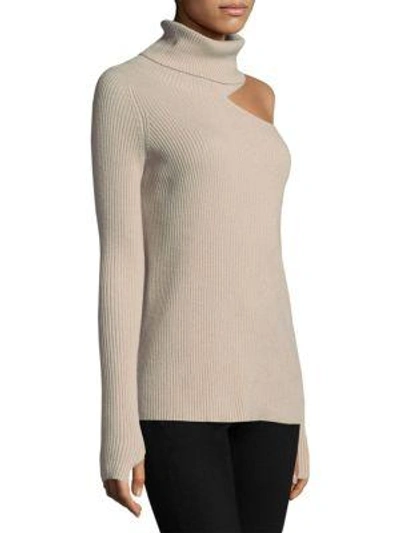 Shop Roi Ribbed Cashmere Sweater In Mushroom