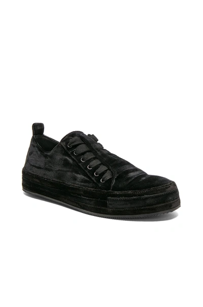Shop Ann Demeulemeester Velvet Sneakers In Black