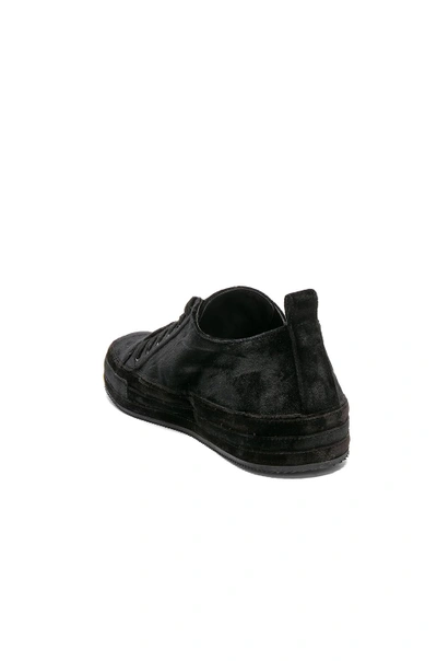 Shop Ann Demeulemeester Velvet Sneakers In Black