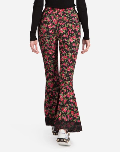 Shop Dolce & Gabbana Printed Sable Pants In Multicolor