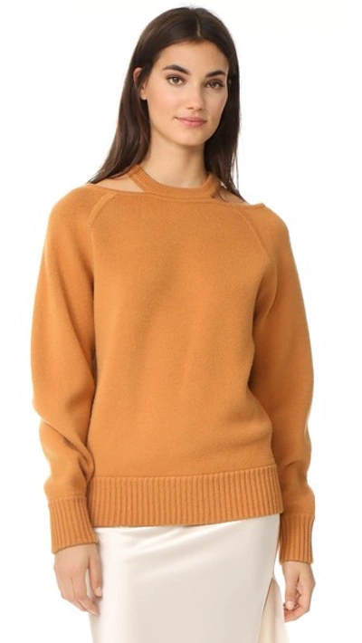 Jason Wu Cashmere Sweater With Cutouts In Caramel