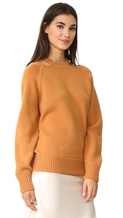 Shop Jason Wu Cashmere Sweater With Cutouts In Caramel