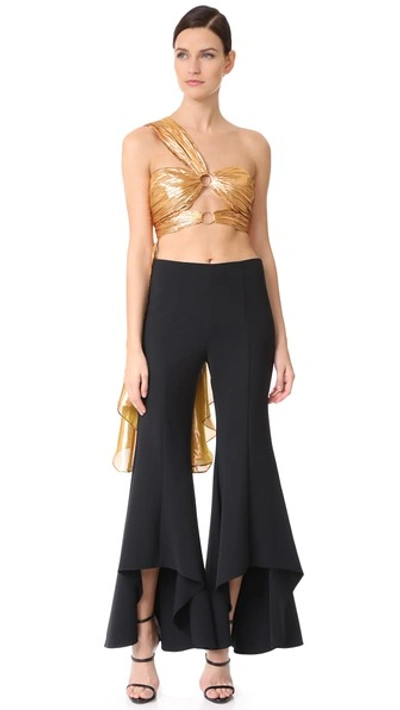 Maria Lucia Hohan Brylee One Shoulder Top In Gold