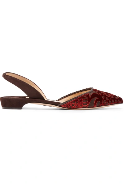 Paul Andrew Rhea Flocked Suede Point-toe Flats