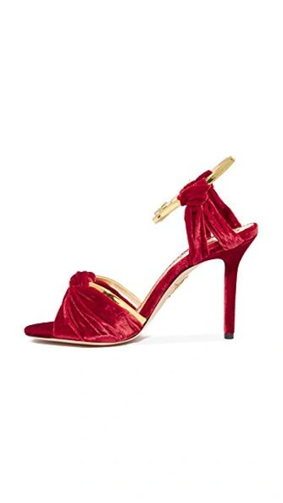 Shop Charlotte Olympia Broadway 95 Pumps In Red