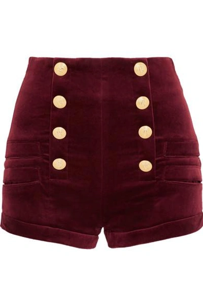 Shop Pierre Balmain Velvet Shorts In Burgundy