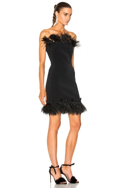 Shop David Koma Button & Feather Detail Strapless Dress In Black