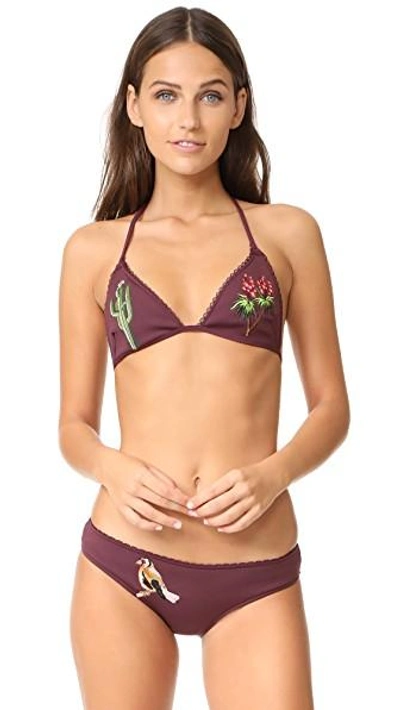 Shop Stella Mccartney Embroidery Classic Bikini Bottoms In Claret