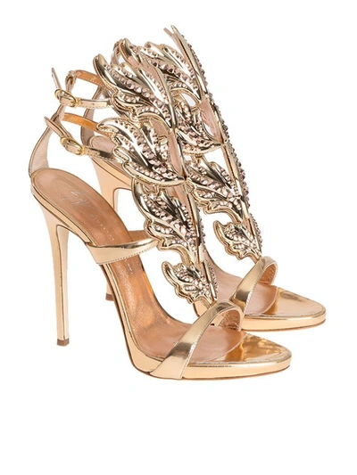 Shop Giuseppe Zanotti Leather Sandals In Gold