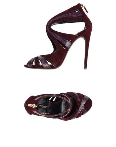 Shop Dolce & Gabbana Sandals In Deep Purple