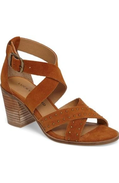 Shop Lucky Brand Kesey Block Heel Sandal In Cafe Suede