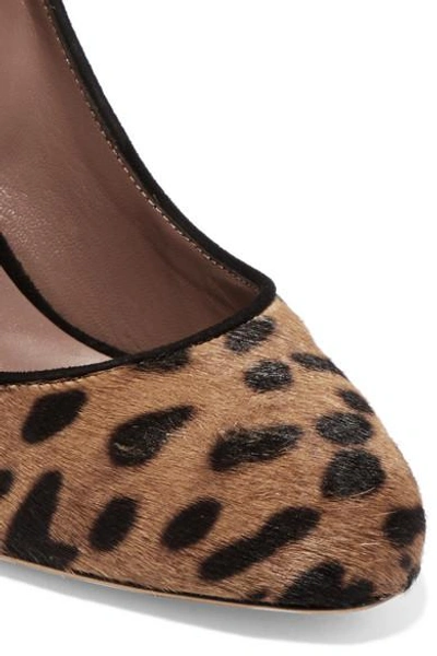 Shop Tabitha Simmons Lydia Leopard-print Calf Hair And Suede Pumps In Leopard Print