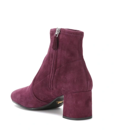 Shop Prada Suede Ankle Boots In Purple