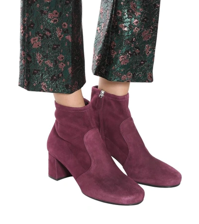 Shop Prada Suede Ankle Boots In Purple