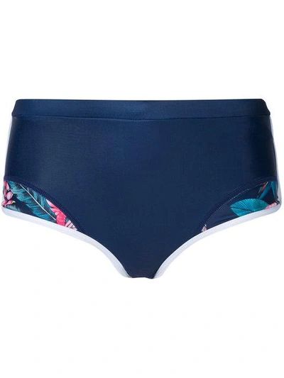 Shop Duskii Haleakala Bikini Pants In Blue