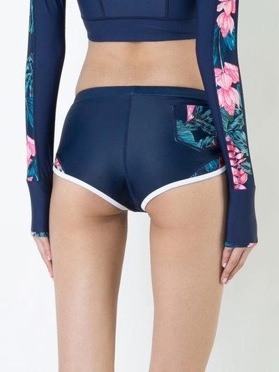Shop Duskii Haleakala Bikini Pants In Blue