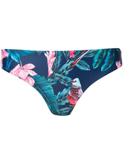 Shop Duskii Haleakala Hawaiian Bikini Pants In Multicolour