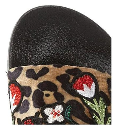 Shop Steve Madden Leopard-print Embellished Slider In Leopard-fabric