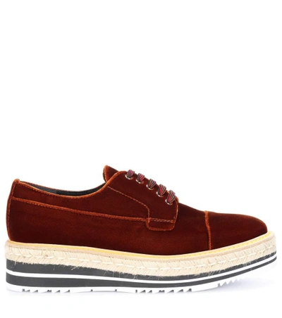 Shop Prada Platform Velvet Derby Shoes In Brown