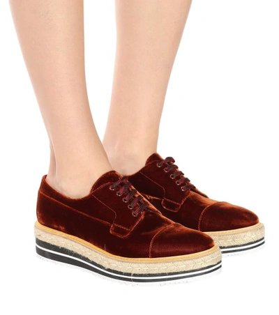 Shop Prada Platform Velvet Derby Shoes In Brown