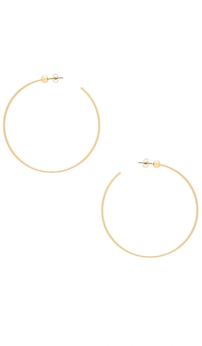 Shop Jenny Bird Icon Hoops M In Gold