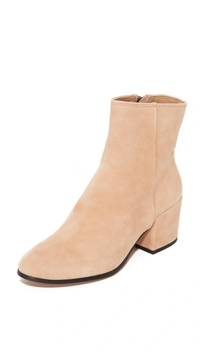 Dolce Vita Maude Block Heel Bootie In Blush