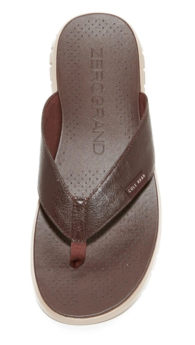 Cole haan zerogrand online thong sandal