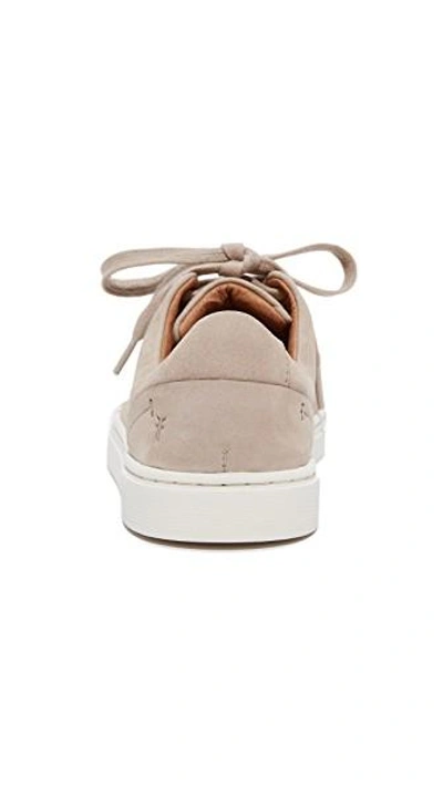 Shop Frye Ivy Low Lace Sneakers In Taupe
