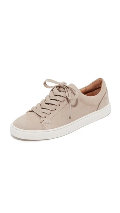 Frye Ivy Low Lace Sneakers In Taupe