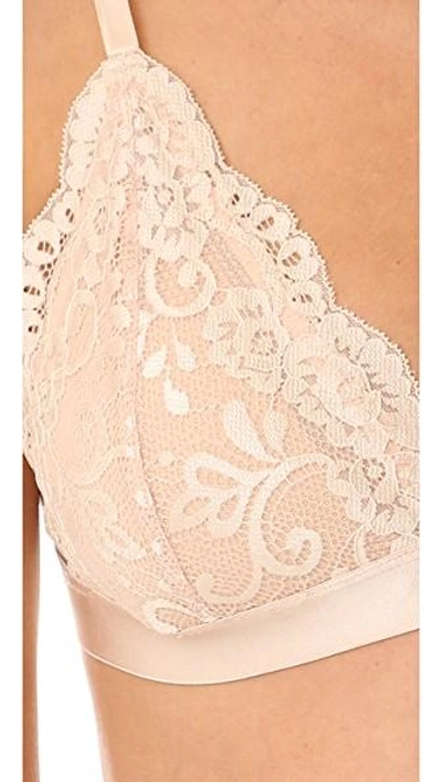 Shop Les Coquines Harlow Lace Triangle Bra In Coquette