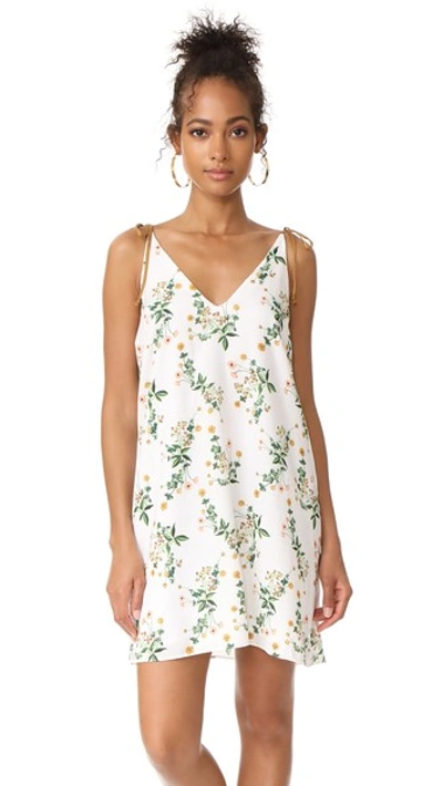 Shop Sam & Lavi Janus Dress In Wildflower