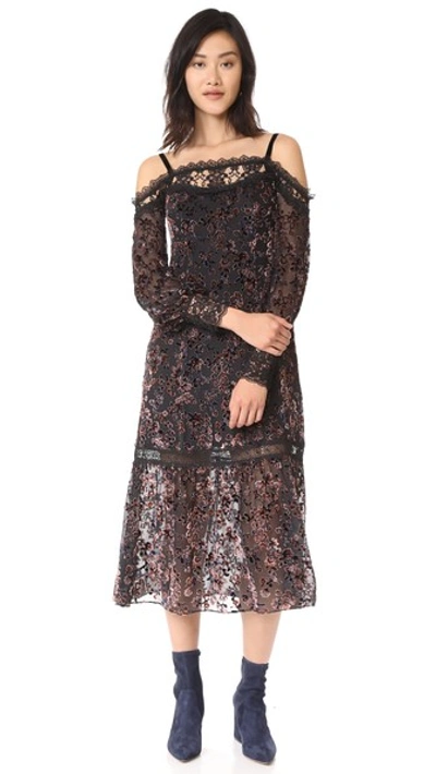 Nanette Lepore Picadilly Cold-shoulder Velvet Burnout Midi Dress In Black Multi
