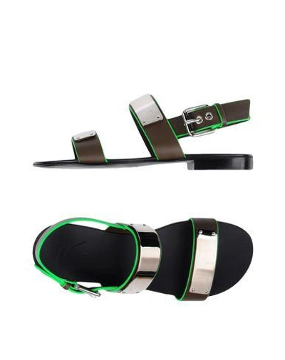 Shop Giuseppe Zanotti Sandals In Dark Brown