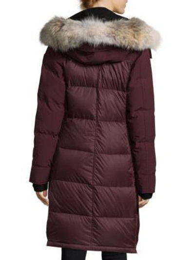 Shop Canada Goose Rowley Fur-trim Parka In Plum