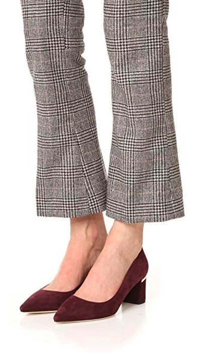Shop Kate Spade Milan Too Pointed Toe Pumps In Deep Cherry