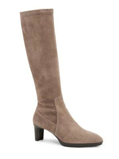 Dahlia Stretch suede Knee high Boots In Mushroom