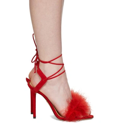 Shop Charlotte Olympia Red Suede Salsa Heels