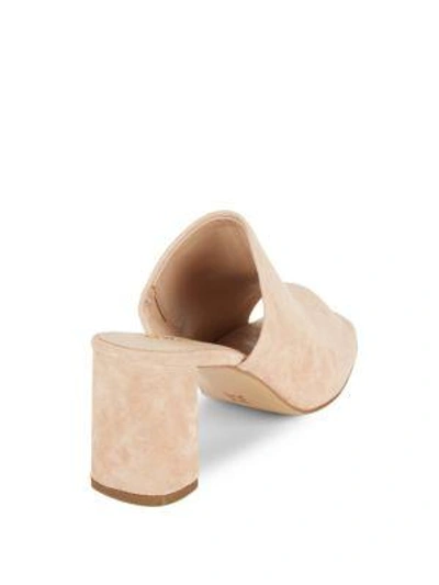 Shop Bcbgeneration Beverly Suede Mules In Black