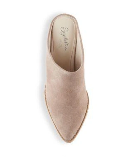 Shop Seychelles Intrigue Point-toe Leather Mules In Cognac