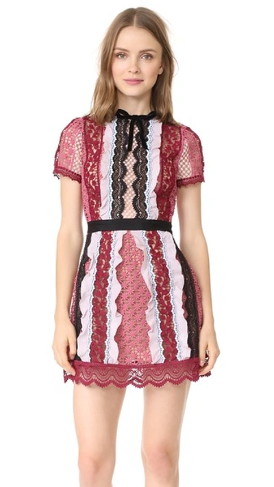 Shop Self-portrait Panelled Bellis Lace Trim Mini Dress In Pink