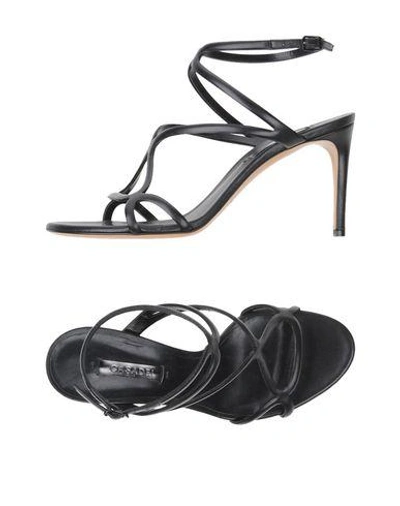Shop Casadei Sandals In Black