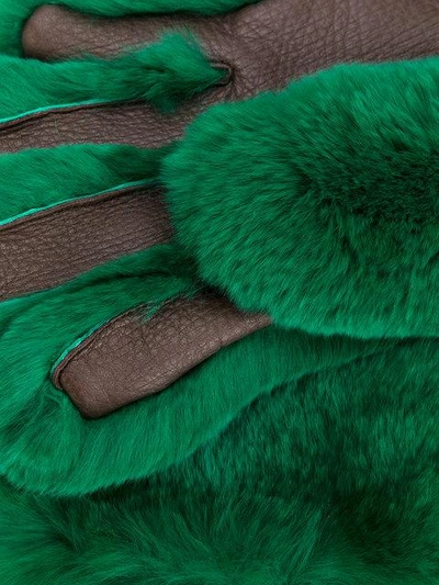 Shop Marni Fur Gloves In Green