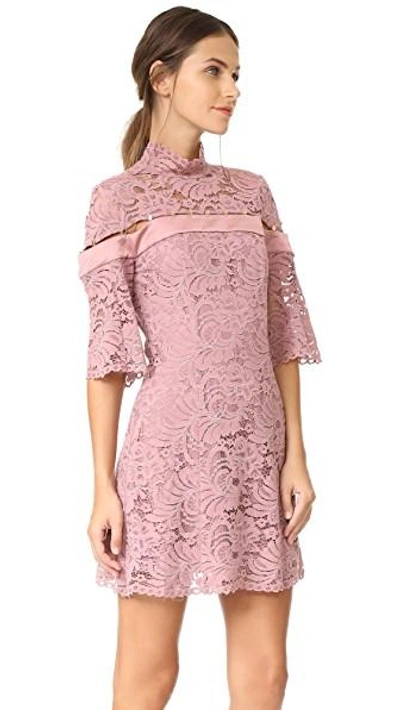 Shop Keepsake Star Crossed Lace Mini Dress In Mauve