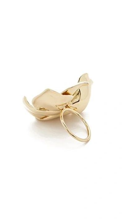 Shop Elizabeth And James Possy Ring In Gold