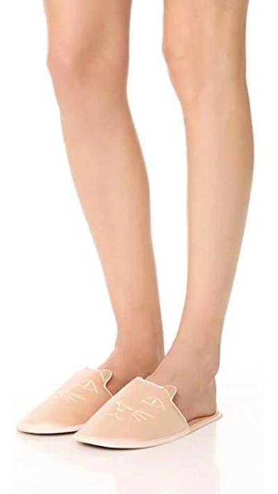 Shop Charlotte Olympia House Cats Slippers In Blush