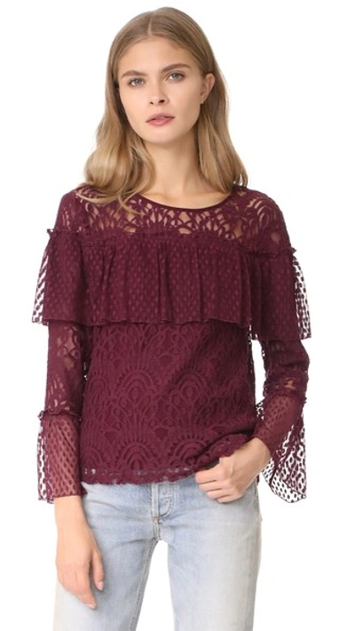 Ella Moss Amberline Ruffled Lace Top In Dark Port